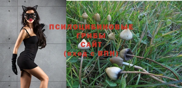 MESCALINE Иннополис