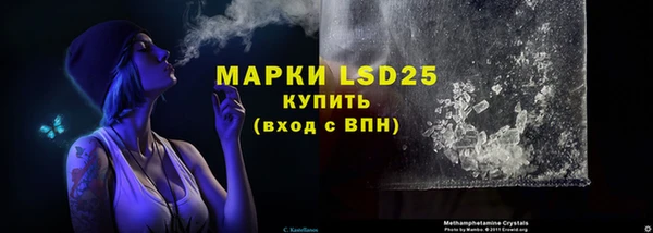мдпв Инсар