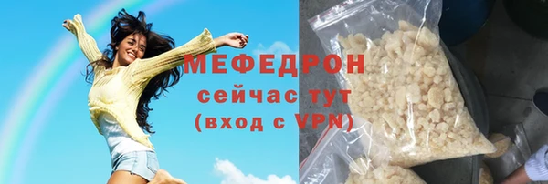 мдпв Инсар