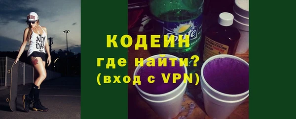 мдпв Инсар