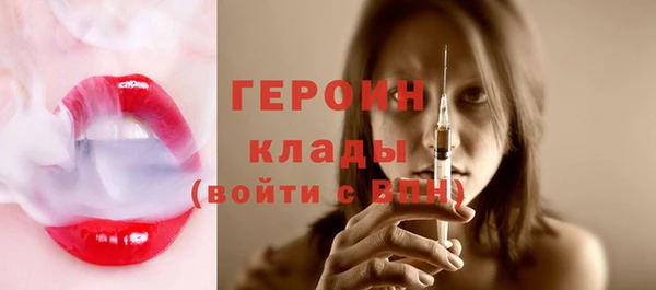 гидра Каменногорск