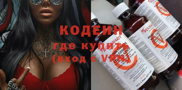 мдпв Инсар