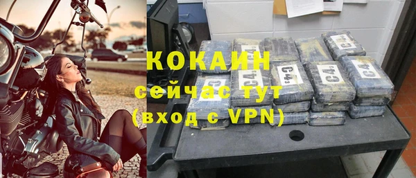 мдпв Инсар