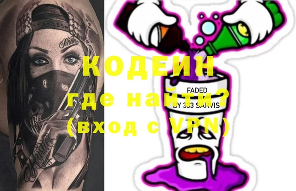 мдпв Инсар