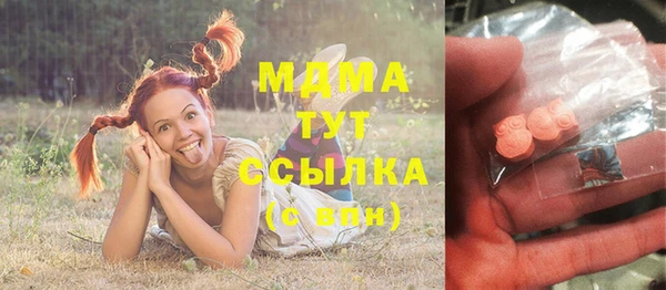 мдпв Инсар