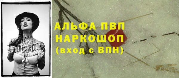 мдпв Инсар