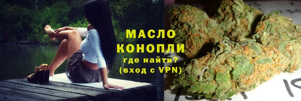 мдпв Инсар
