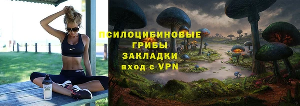 гидра Каменногорск