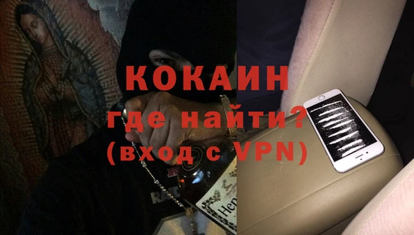 мдпв Инсар