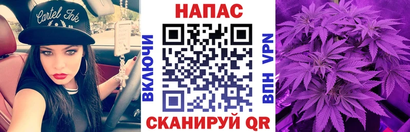 Купить закладки  Нефтегорск  Бошки Шишки Amnesia 